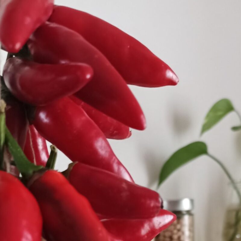 PEPERONCINO PICCANTE SOTT'OLIO 100g - immagine 2