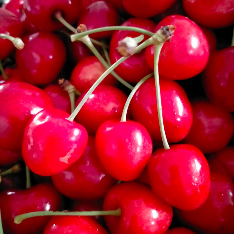 MARMELLATA DI CILIEGIA 300g - immagine 5